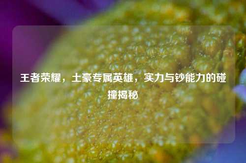 王者荣耀，土豪专属英雄，实力与钞能力的碰撞揭秘