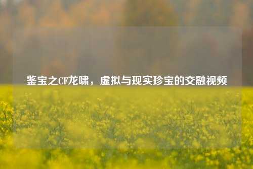鉴宝之CF龙啸，虚拟与现实珍宝的交融视频