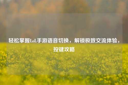 轻松掌握LoL手游语音切换，解锁极致交流体验，按键攻略