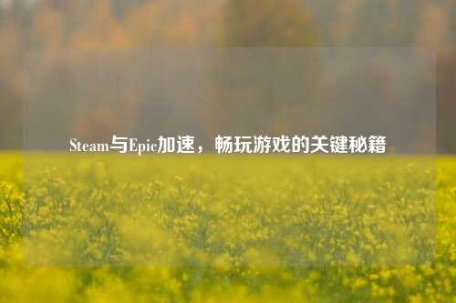 Steam与Epic加速，畅玩游戏的关键秘籍