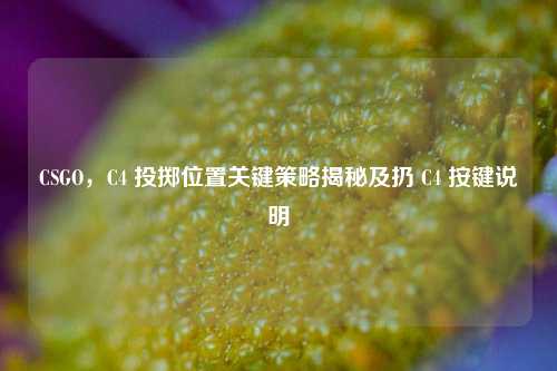 CSGO，C4 投掷位置关键策略揭秘及扔 C4 按键说明