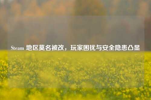 Steam 地区莫名被改，玩家困扰与安全隐患凸显
