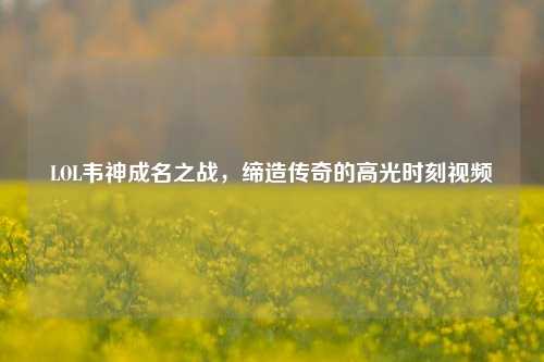 LOL韦神成名之战，缔造传奇的高光时刻视频