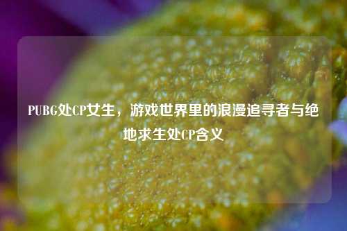 PUBG处CP女生，游戏世界里的浪漫追寻者与绝地求生处CP含义