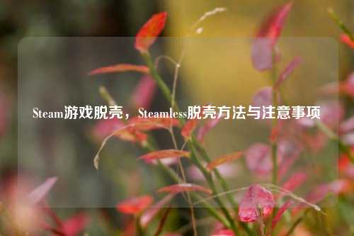 Steam游戏脱壳，Steamless脱壳方法与注意事项