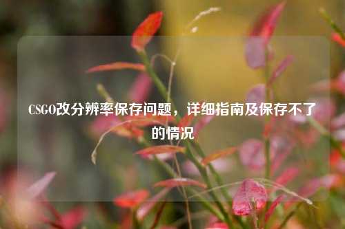 CSGO改分辨率保存问题，详细指南及保存不了的情况