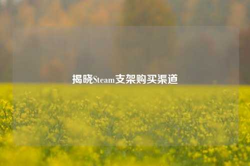 揭晓Steam支架购买渠道