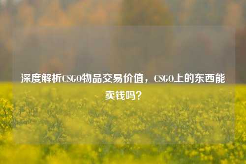 深度解析CSGO物品交易价值，CSGO上的东西能卖钱吗？