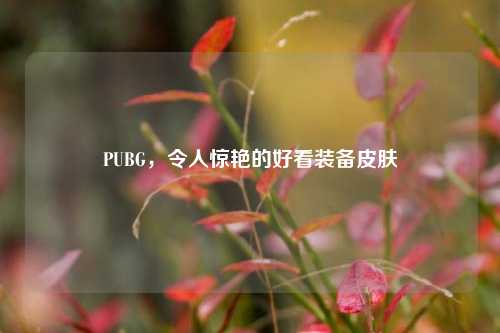 PUBG,令人惊艳的好看装备皮肤