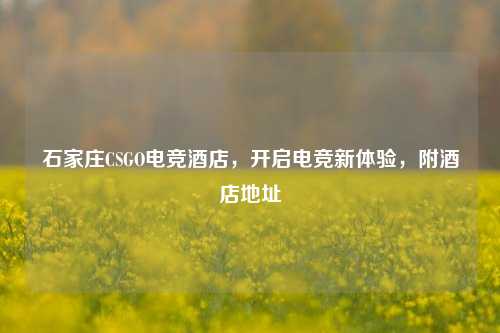石家庄CSGO电竞酒店，开启电竞新体验，附酒店地址