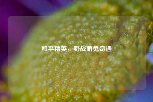 和平精英，野战萌兔奇遇