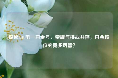 探秘LOL电一白金号，荣耀与挑战并存，白金段位究竟多厉害？
