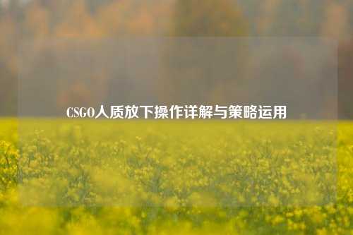 CSGO人质放下操作详解与策略运用