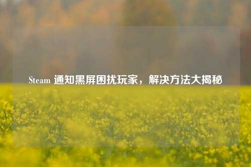 Steam 通知黑屏困扰玩家，解决方法大揭秘