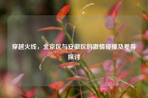 穿越火线，北京区与安徽区的激情碰撞及差异探讨