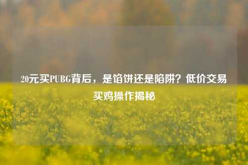 20元买PUBG背后，是馅饼还是陷阱？低价交易买鸡操作揭秘