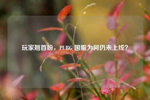 玩家翘首盼，PUBG 国服为何仍未上线？