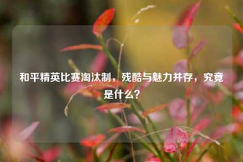 和平精英比赛淘汰制，残酷与魅力并存，究竟是什么？