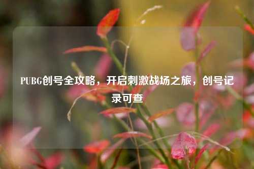 PUBG创号全攻略，开启刺激战场之旅，创号记录可查