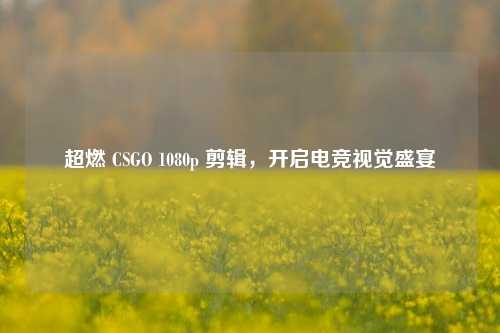 超燃 CSGO 1080p 剪辑，开启电竞视觉盛宴