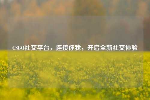 CSGO社交平台，连接你我，开启全新社交体验