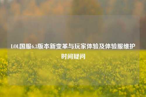 LOL国服6.3版本新变革与玩家体验及体验服维护时间疑问