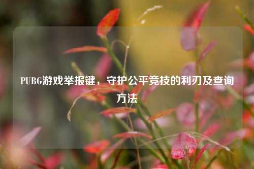 PUBG游戏举报键，守护公平竞技的利刃及查询方法