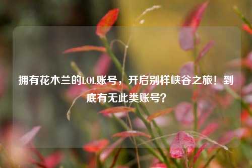 拥有花木兰的LOL账号，开启别样峡谷之旅！到底有无此类账号？