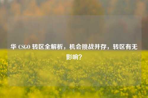 华 CSGO 转区全解析，机会挑战并存，转区有无影响？