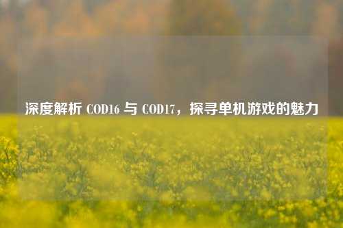 深度解析 COD16 与 COD17，探寻单机游戏的魅力