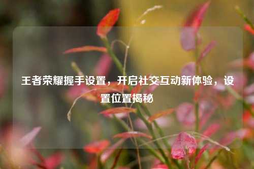 王者荣耀握手设置,开启社交互动新体验,设置位置揭秘