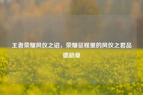 王者荣耀风仪之诏,荣耀征程里的风仪之君品德勋章