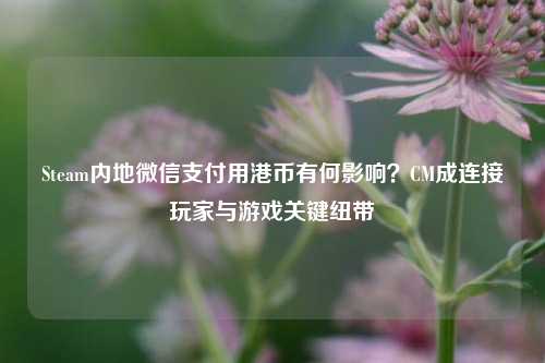 Steam内地微信支付用港币有何影响？CM成连接玩家与游戏关键纽带