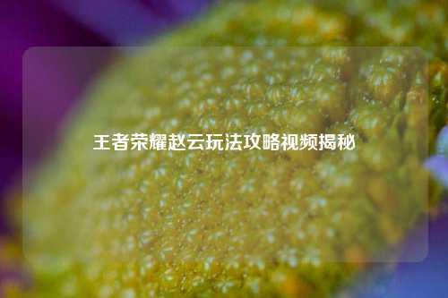 王者荣耀赵云玩法攻略视频揭秘
